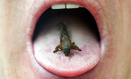 Man Eating Insects