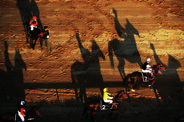 Gallery 24 Sport: Equestrian