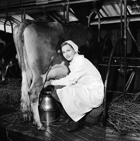 Gallery 12 days of christmas: Maid a-milking
