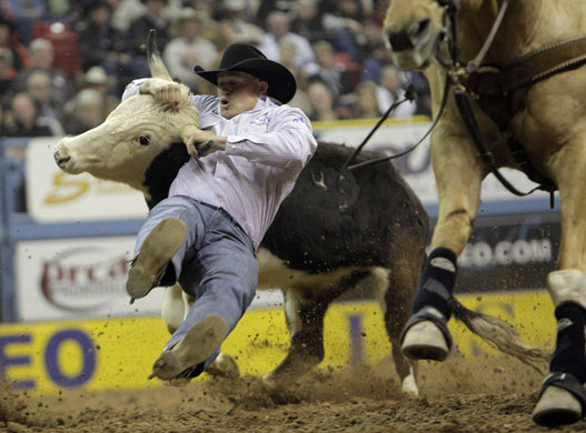 Gallery 24 Sport: Rodeo