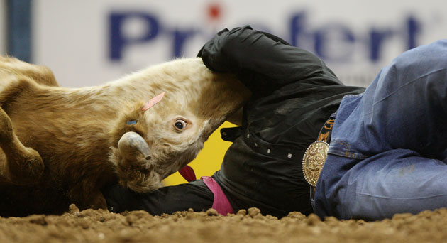 Gallery 24 hours in pictures: steer wrestling event at the National Finals Rodeo in Las Vegas