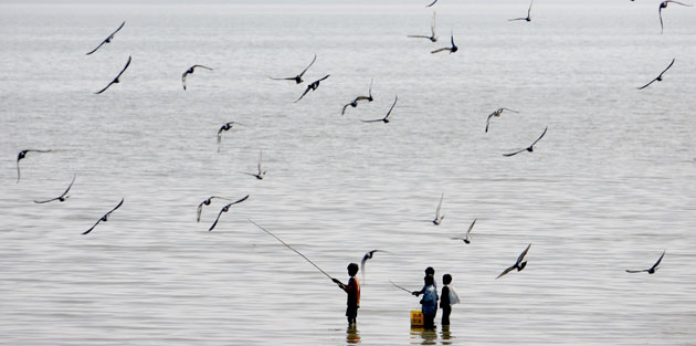Gallery Week in wildlife: Mumbai, India: Children fish on the shores of the Arabian sea