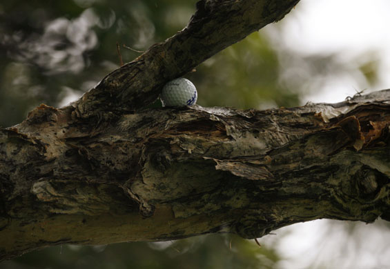 Gallery Sport pics of week: The ball of James Nitties 