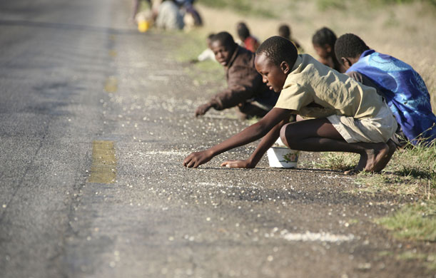 Gallery 24 hours in pictures : Scavengeing for food in Zimbabwe