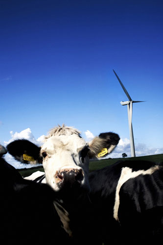 Gallery BWEA renewables: BWEA renewables