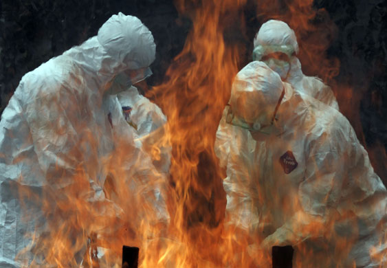 Gallery 16 December 2008: A joint bird flu prevention drill in Jakarta