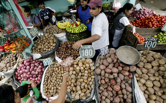 Gallery 2008 John Vidal Review: 2008 John Vidal Environment Review