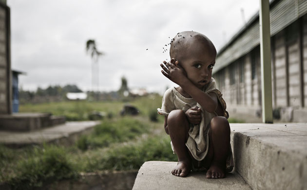 Gallery 2008 John Vidal Review: 2008 John Vidal Environment Review