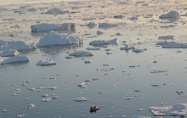 Gallery 2008 John Vidal Review: 2008 John Vidal Environment Review