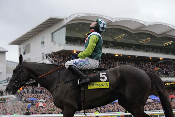 Gallery Tom Jenkins' best pics: Denman