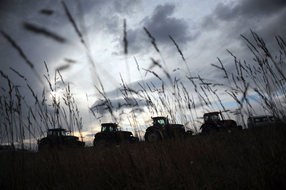 Gallery 19 December 2008: Sofia, Bulgaria: Grain producers besieged the building of parliament