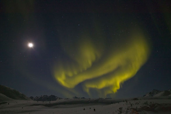 Gallery Aurora borealis: Aurora borealis