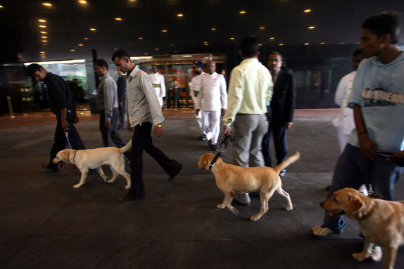 Gallery Mumbai hotels reopen: Security personnel with sniffer dogs outside the Trident-Oberoi hotel