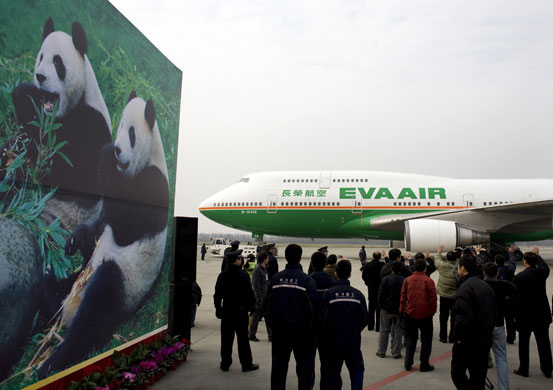 Chinese officers wave as they bid farewell to the giant pandas after being loaded inside a aircraft in Chengdu Suhangliu International Airport