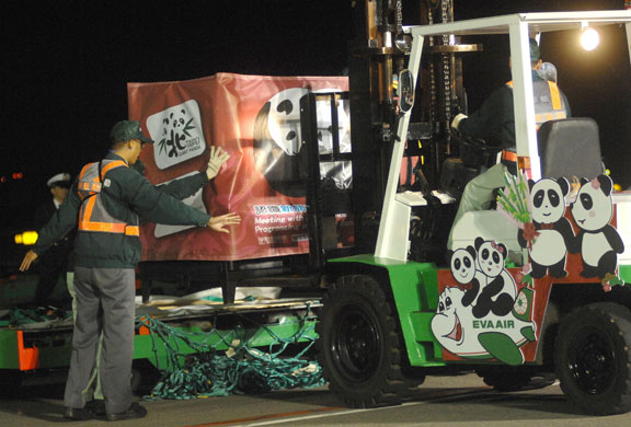 A forklift unloads a carton containing a giant panda from a charter jet upon its arrival at Taoyuan airport, northern Taiwan