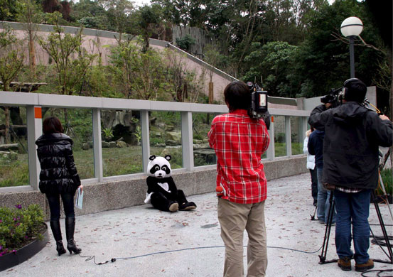 Gallery 24 hours in pictures: A Taiwananese man dressed as a giant panda poses for TV  