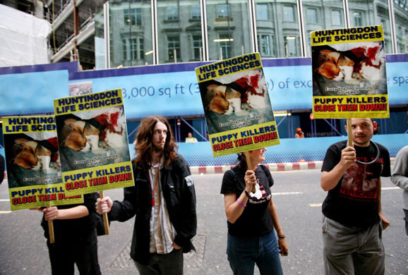 Gallery Huntingdon Life Sciences: A protest by animal rights protesters against Huntingdon Life Sciences