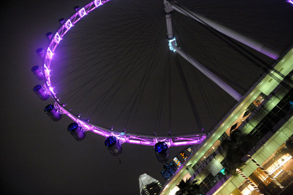 Gallery Singapore Flyer: a passenger is recued from the singpore flyer