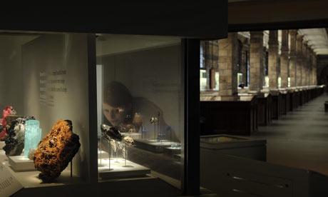 vault natural history museum