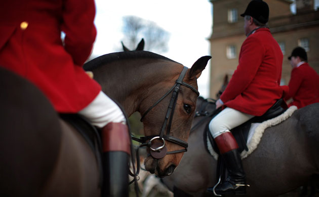Gallery 24 hours in pictures: Traditional Boxing Day Hunts