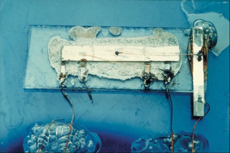 The first working chip