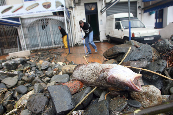 Gallery 24 hours in pictures: People clean a street after a heavy rain storm