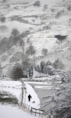 Gallery December 3 2008: Hebden Bridge, UK: A man walks his dogs along the Rochdale Canal