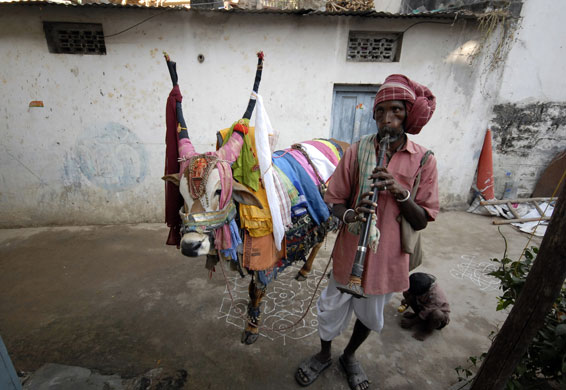 Gallery 30 December 2008: Hyderabad, India: A devotee plays a traditional flute