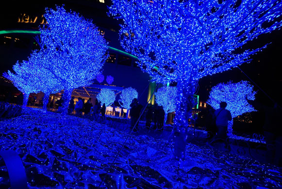 Gallery New Year: China celebrate the New Year