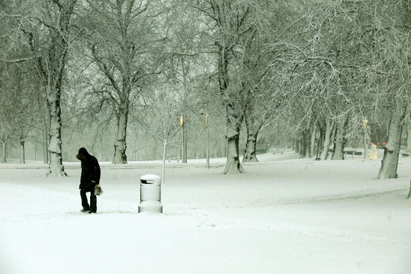 Gallery December snow: A snowy park in Harrogate