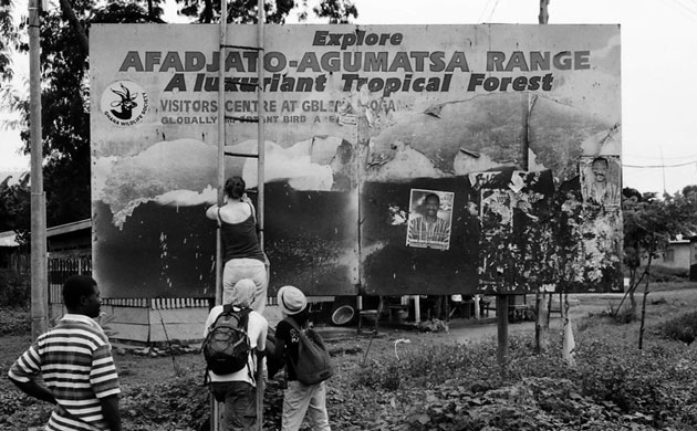 Gallery Volunteers Day: International Volunteers Day