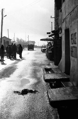 International Volunteers Day