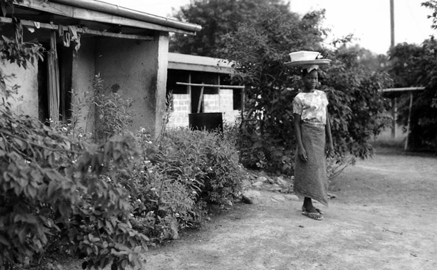 International Volunteers Day