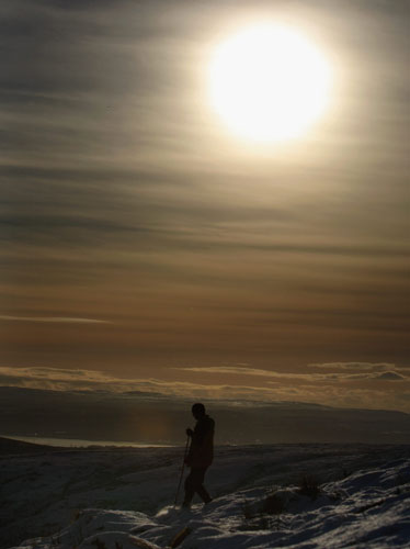 Gallery 24 hours in pictures: sheep farmer gathers flock as weather set to turn
