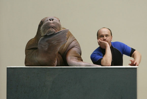 Gallery 24 hours in pictures: Sara the walrus and trainer Sergiy 