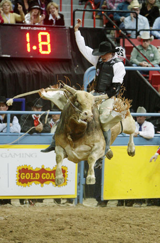 Gallery 24 sport: Rodeo