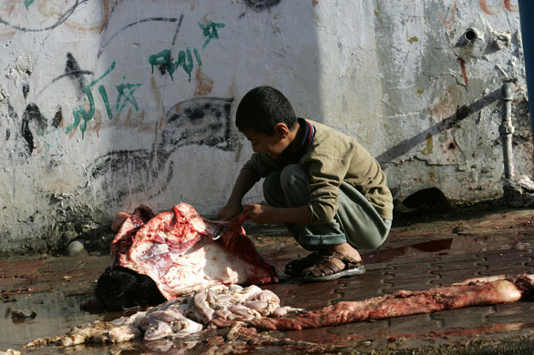 islam islam