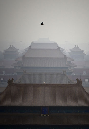 Gallery 24 hours in pictures: A bird flies over the Forbidden City on a hazy day in Beijing, China