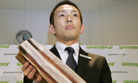 Greenpeace activist Junichi Sato