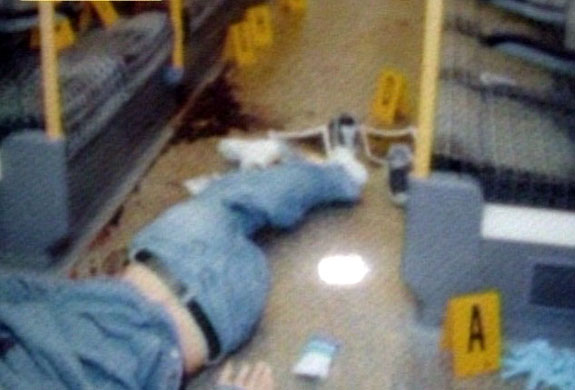 Gallery de menezes: The body