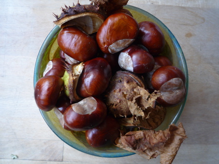 Conkers Tree