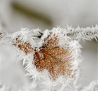 cold