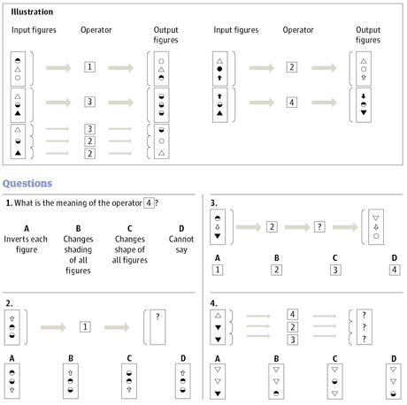 Visual Reasoning Test