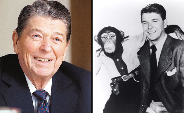 Ronald Reagan is America's most successful actor-turn-politician. The man who acted with a chimpanzee in Bedtime for Bonzo proved all his doubters wrong, winning the California governship and ulitmately the presidency. Reagan was the 40th US president, serving from 1981 until 1989