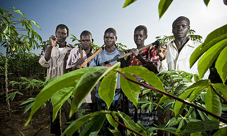 katine cassava farmers