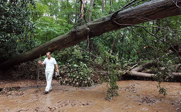 Peter von Wismar walks under a fallen tree in front of his home in Atlanta 