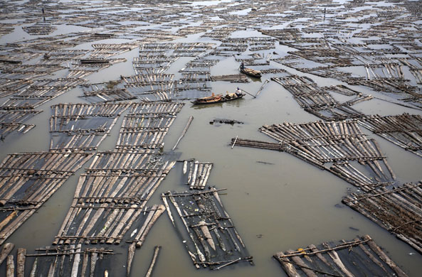 Gallery 24 hours: Canoes float amongst rafts of logs on the Lagos