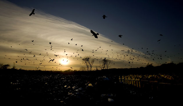 Gallery 24 hours: A view of the last sun set of 2008