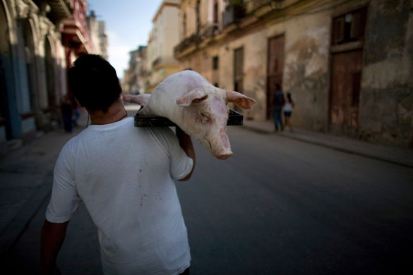 Gallery 24 hours: A man carries a dead pig