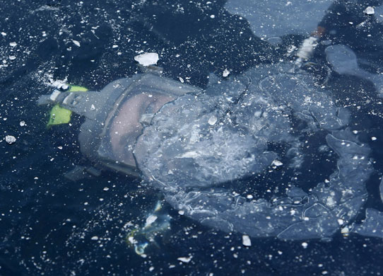 Gallery 24 hours in pictures : Police diver in Germany